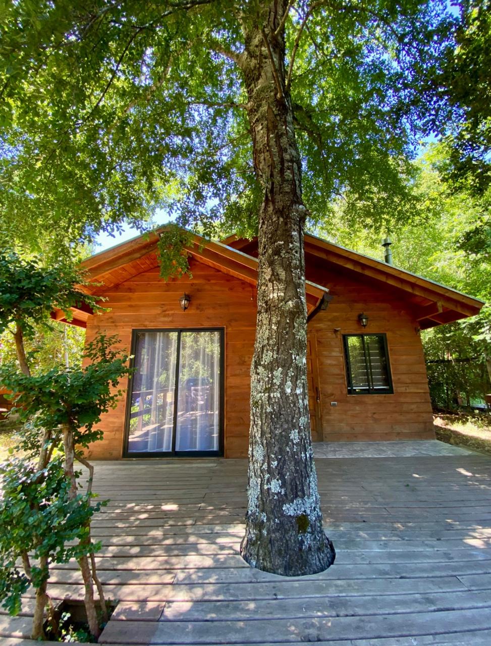 Cabaña Limay 1